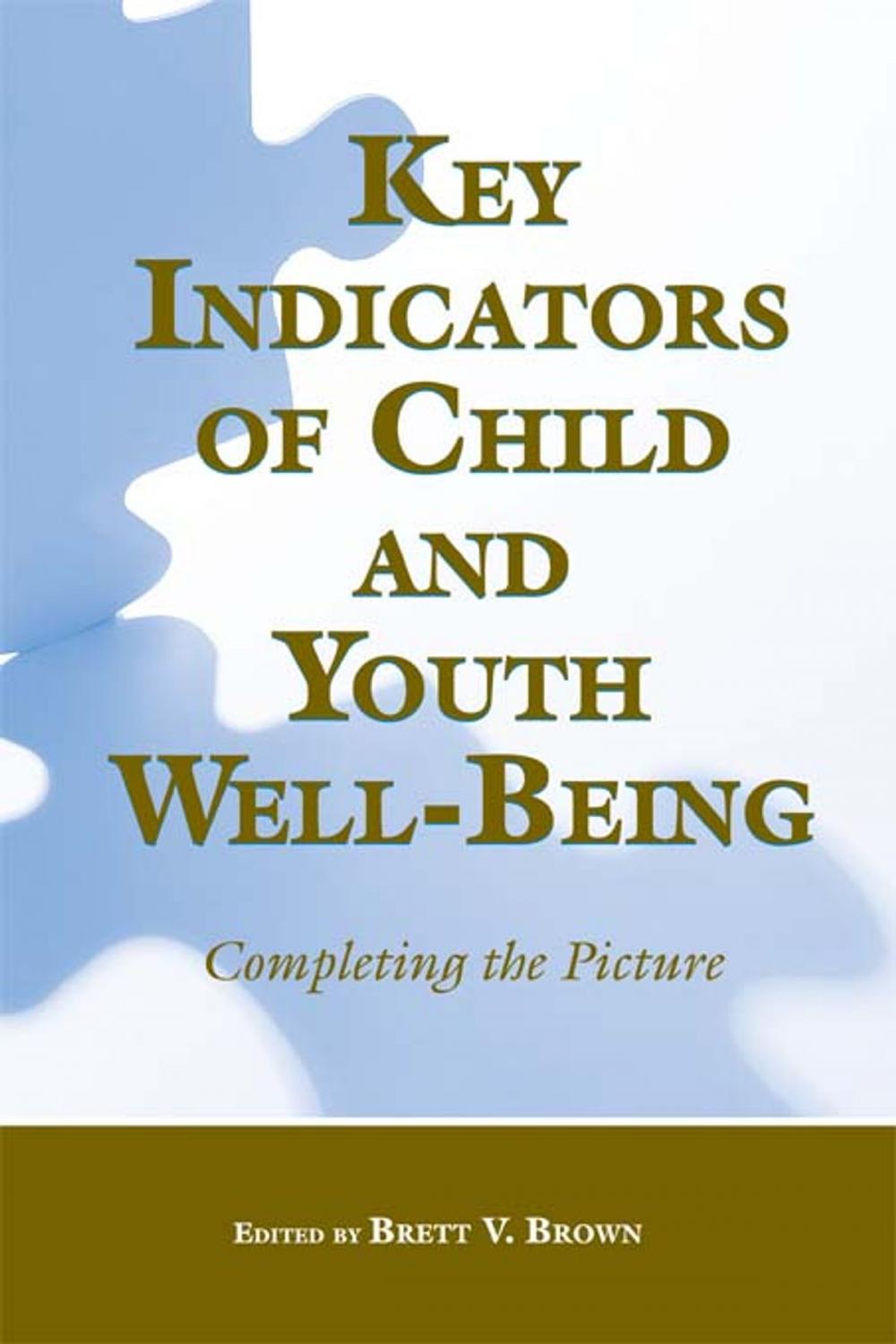 Big bigCover of Key Indicators of Child and Youth Well-Being