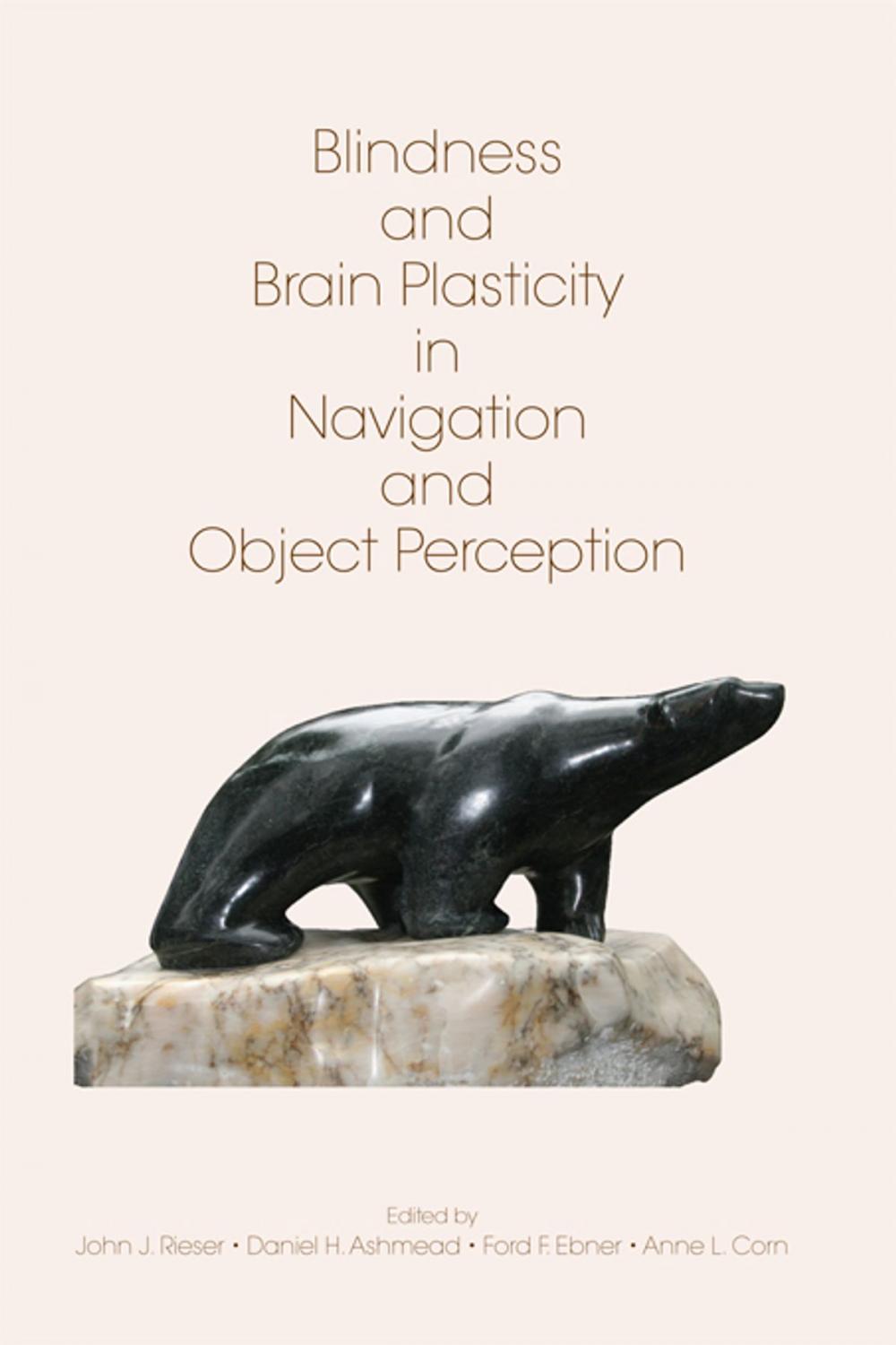 Big bigCover of Blindness and Brain Plasticity in Navigation and Object Perception