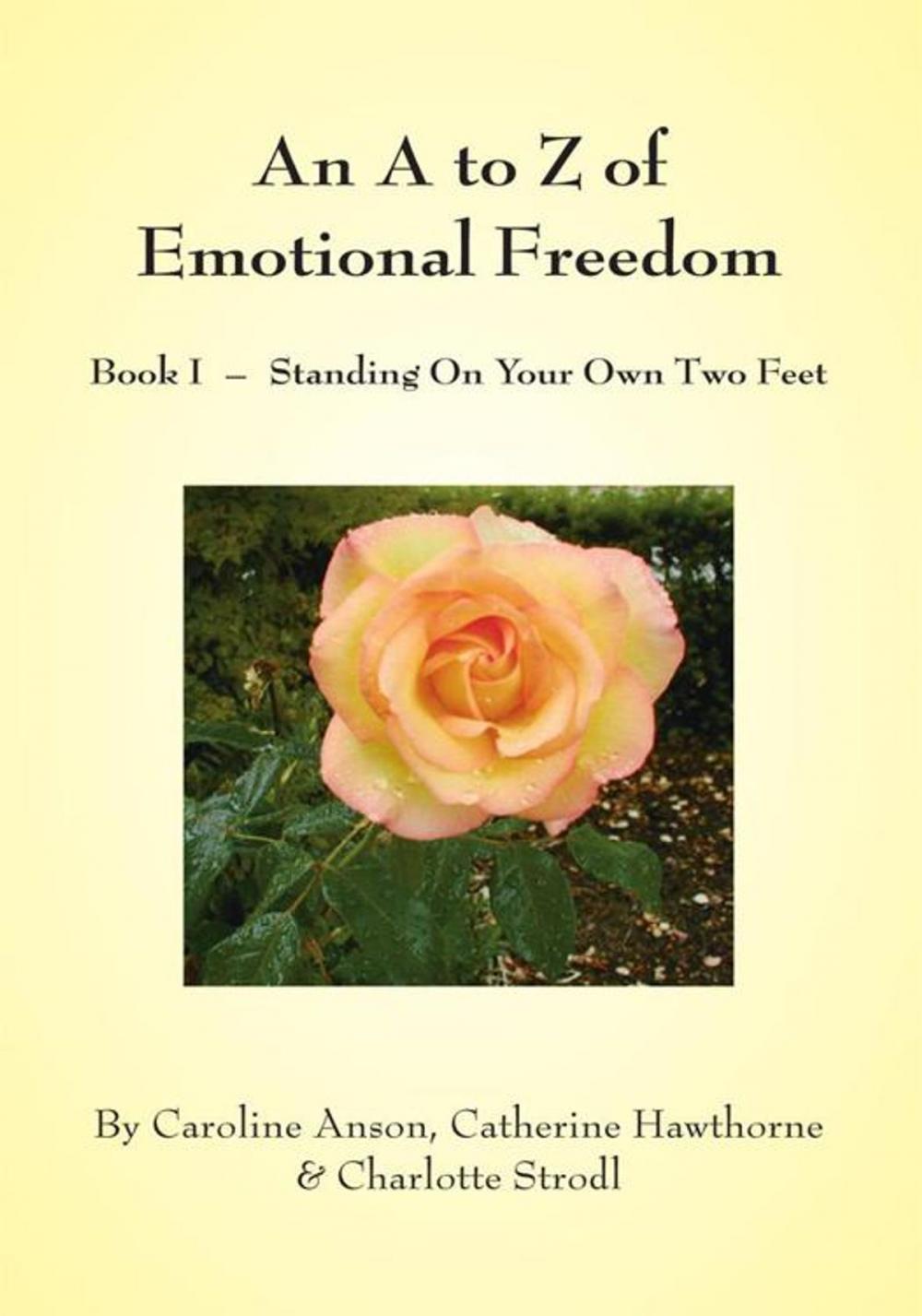 Big bigCover of An a to Z of Emotional Freedom