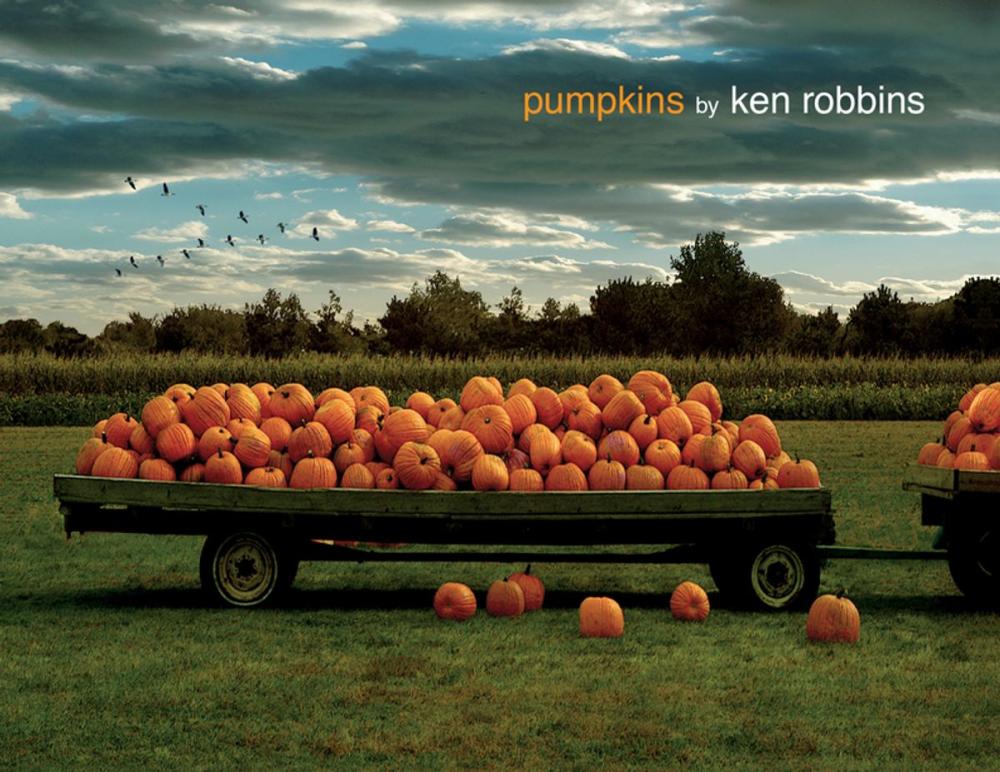 Big bigCover of Pumpkins