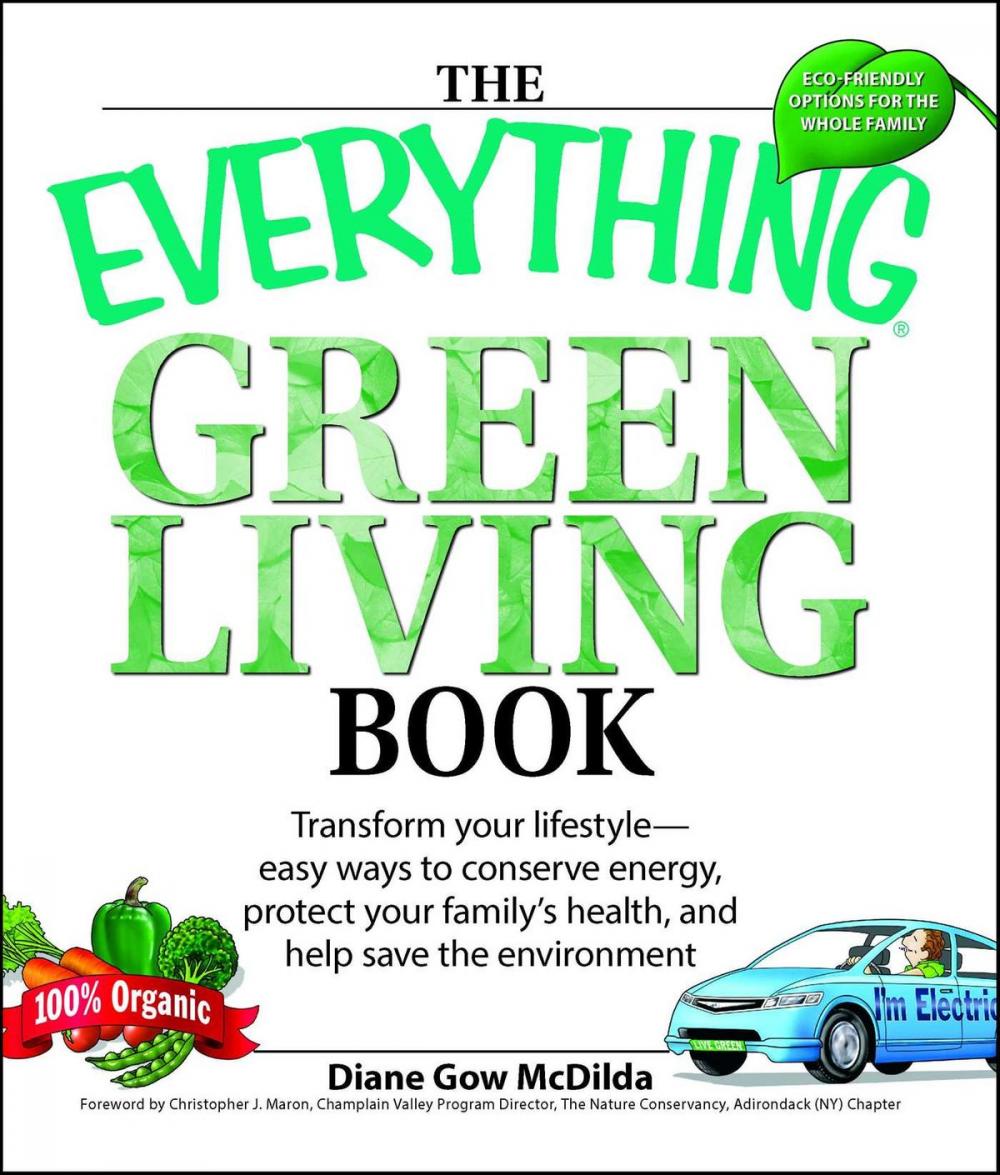 Big bigCover of The Everything Green Living Book