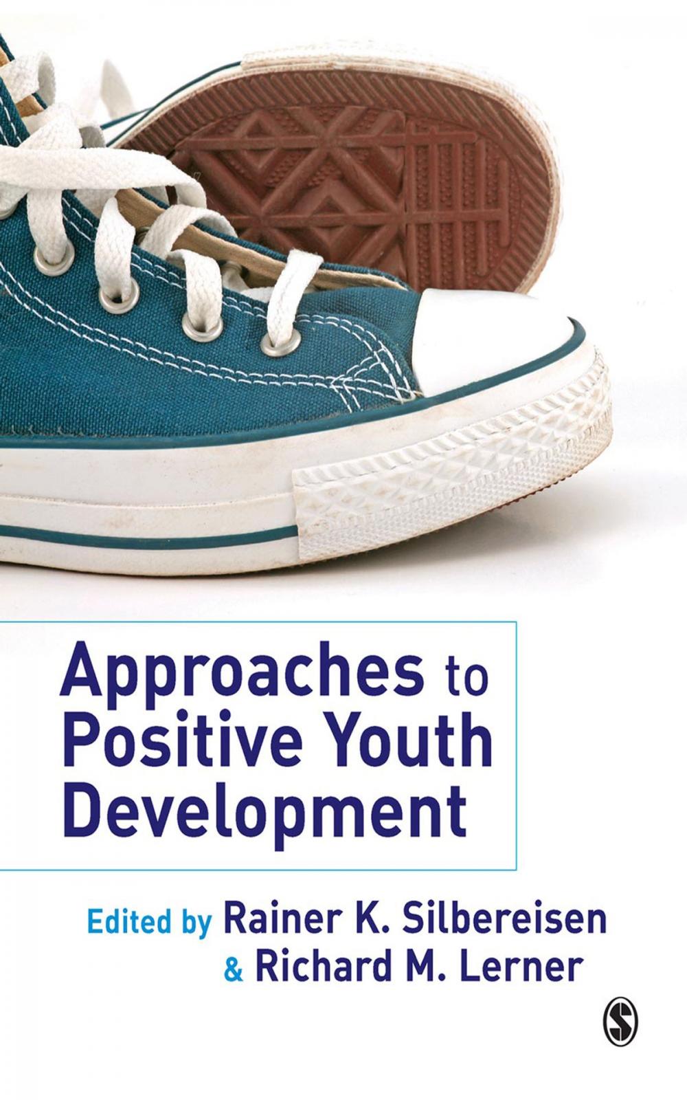 Big bigCover of Approaches to Positive Youth Development