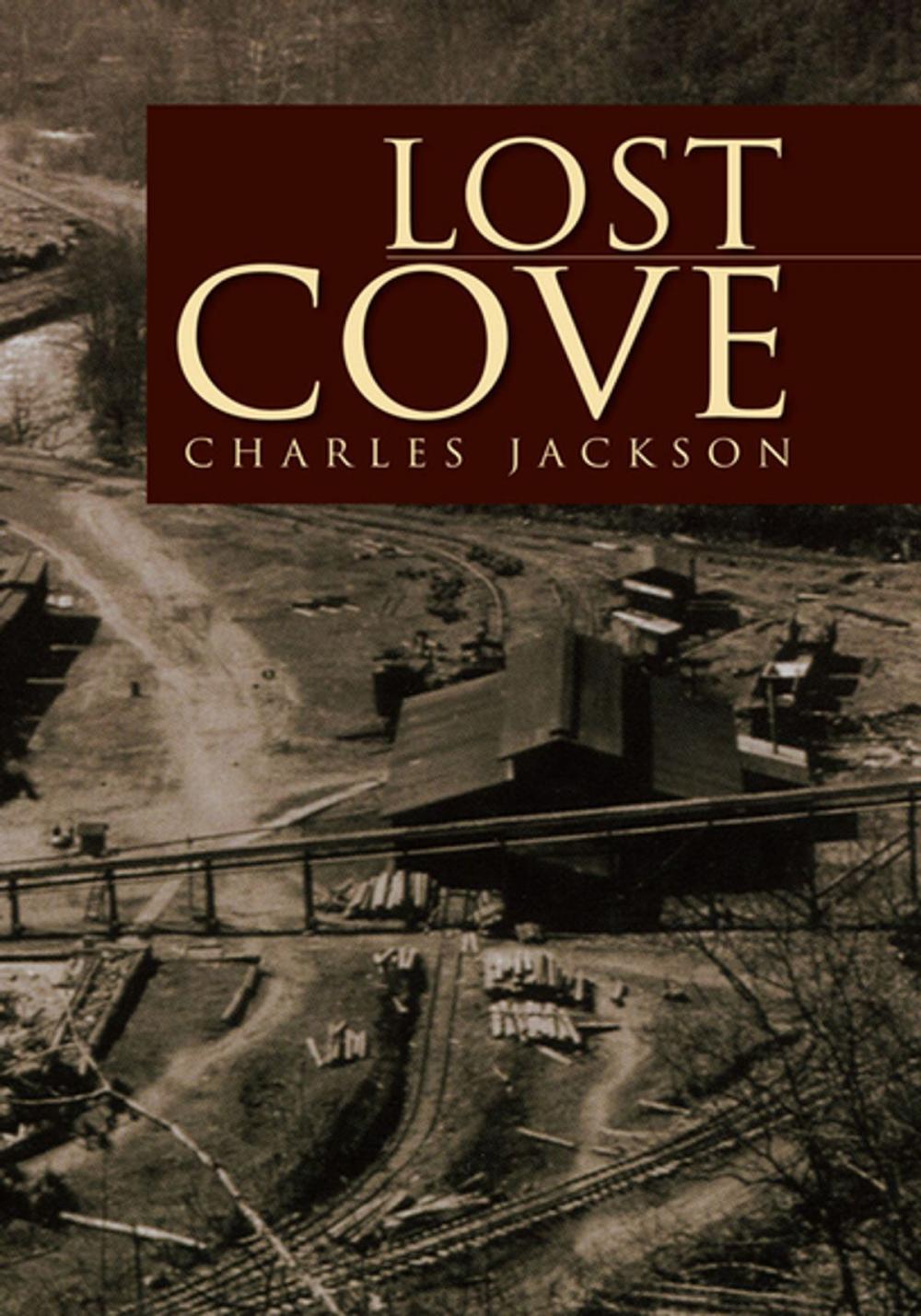 Big bigCover of Lost Cove