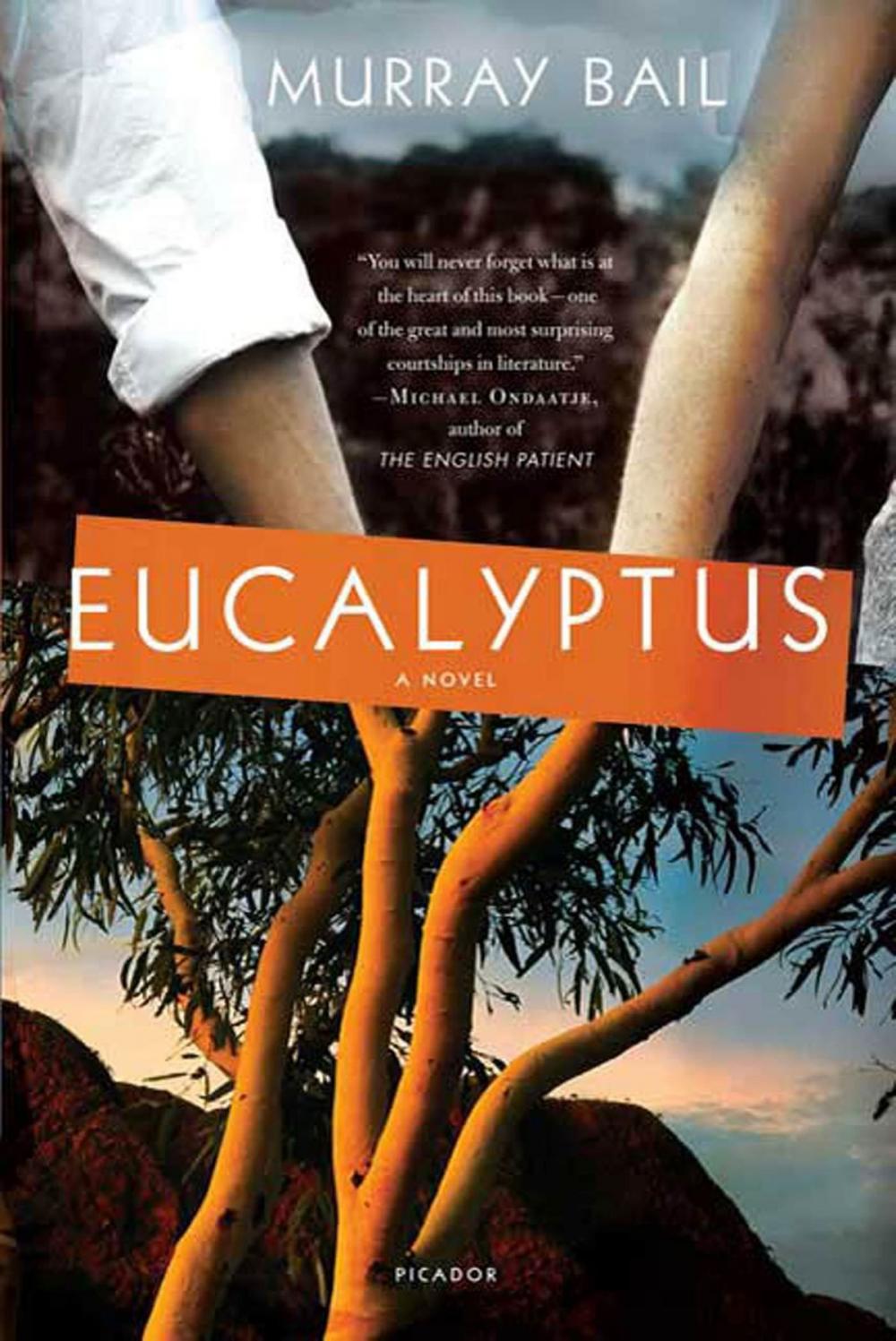 Big bigCover of Eucalyptus