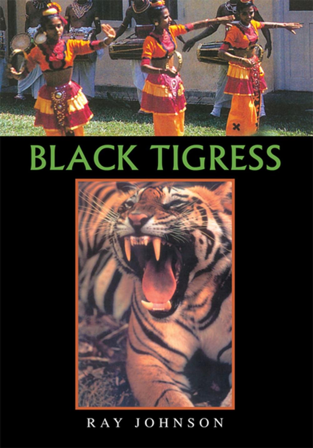 Big bigCover of Black Tigress