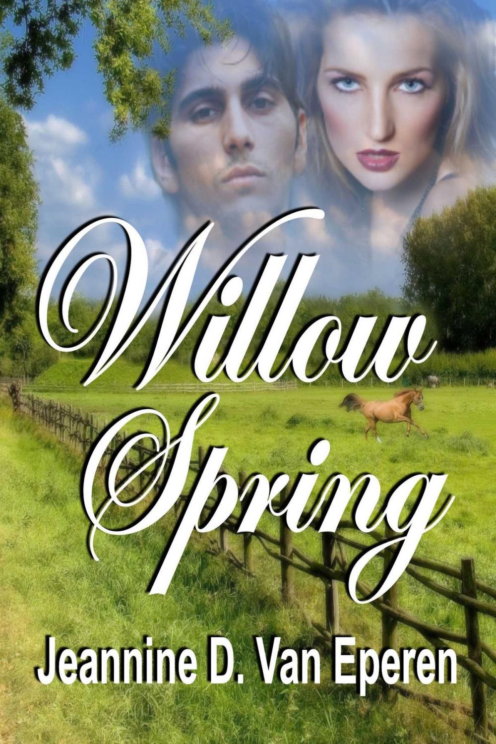 Big bigCover of Willow Spring