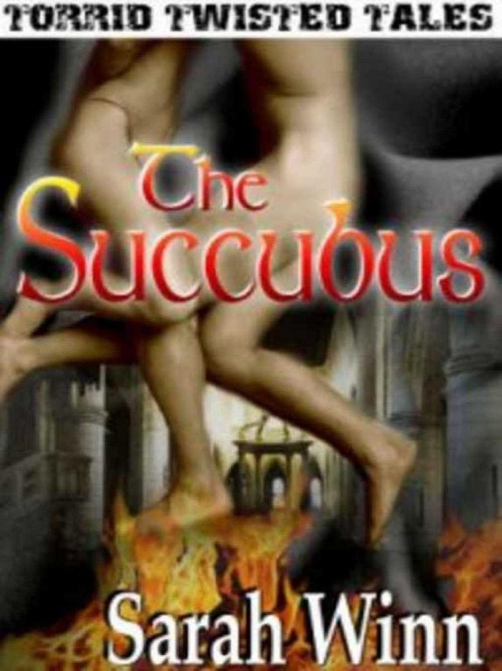 Big bigCover of The Succubus