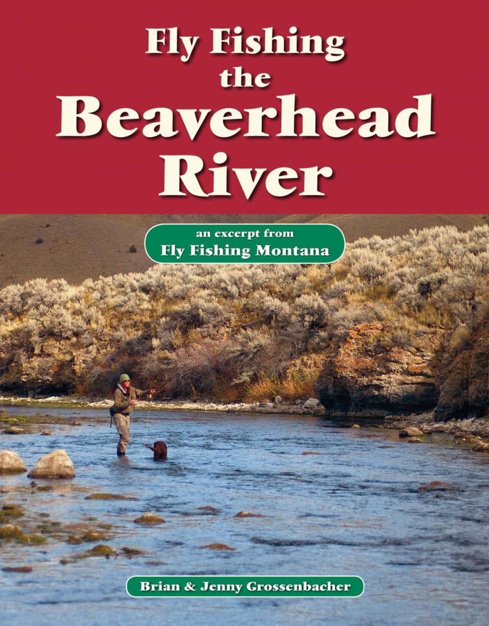 Big bigCover of Fly Fishing the Beaverhead River