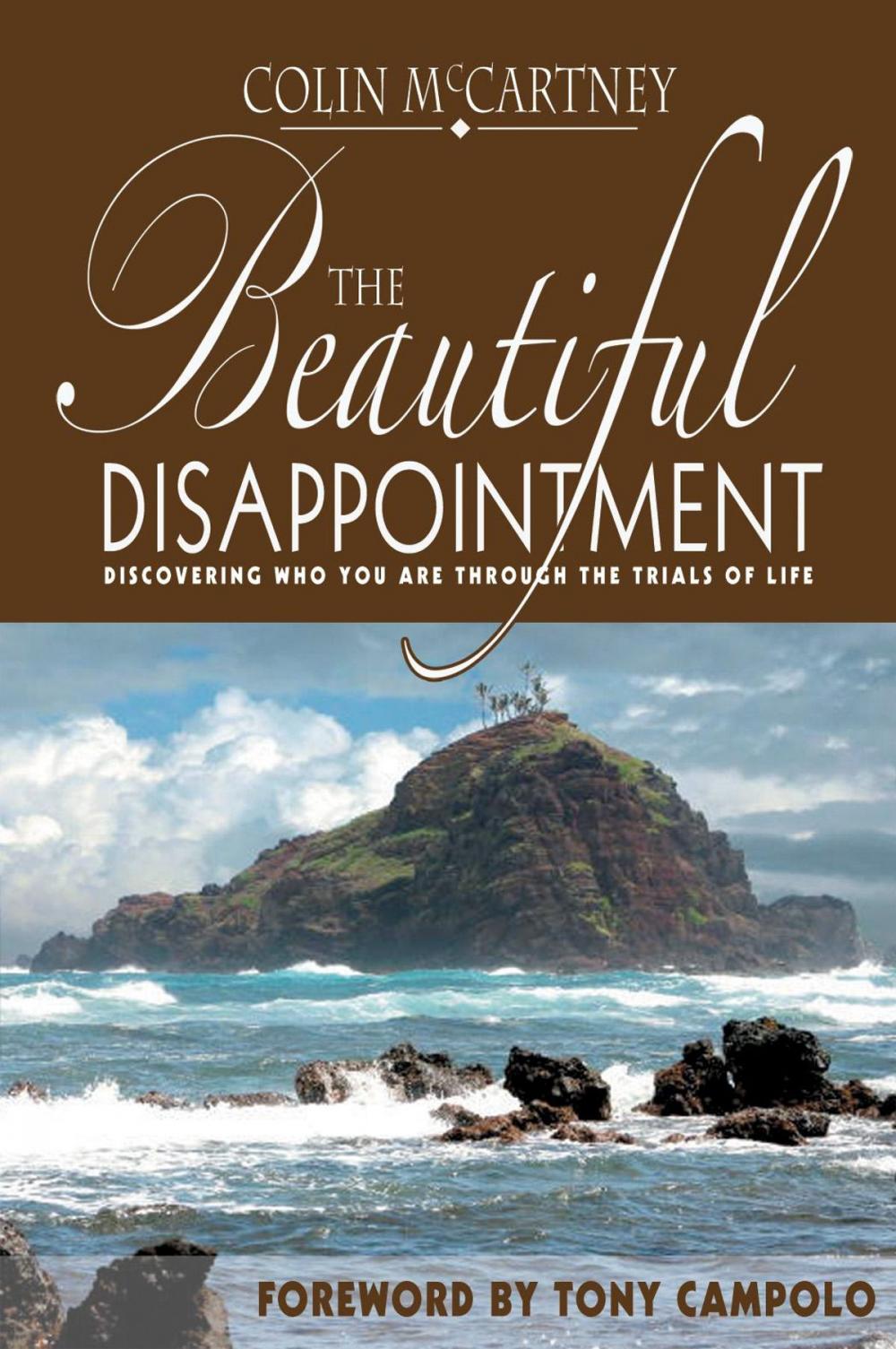 Big bigCover of The Beautiful Disappointment