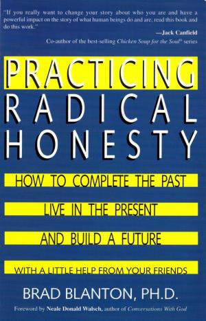 Cover of the book Practicing Radical Honesty by Seymour Lessans