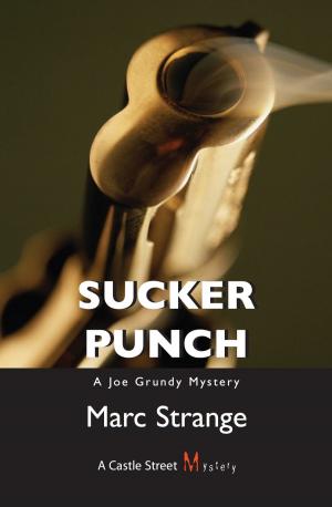 Cover of the book Sucker Punch by Robin Esrock