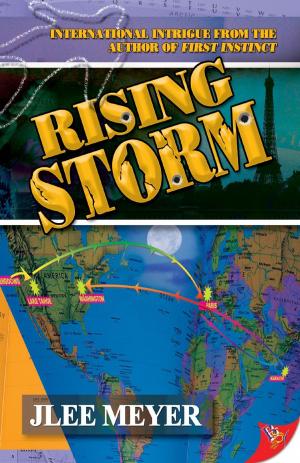 Cover of the book Rising Storm by Jennifer Fulton