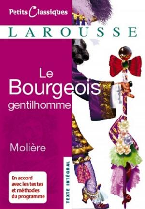 Cover of the book Le Bourgeois gentilhomme by Christine Palluy