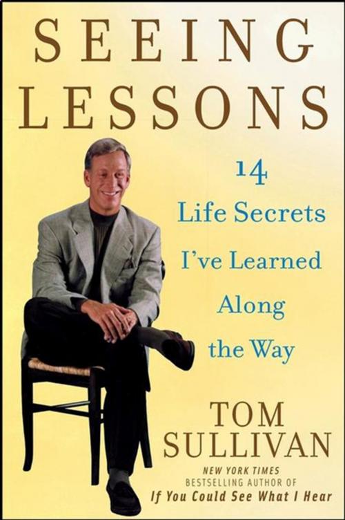 Cover of the book Seeing Lessons by Tom Sullivan, Turner Publishing Company