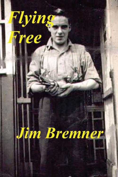 Cover of the book Flying Free by Jim Bremner, AuthorHouse UK