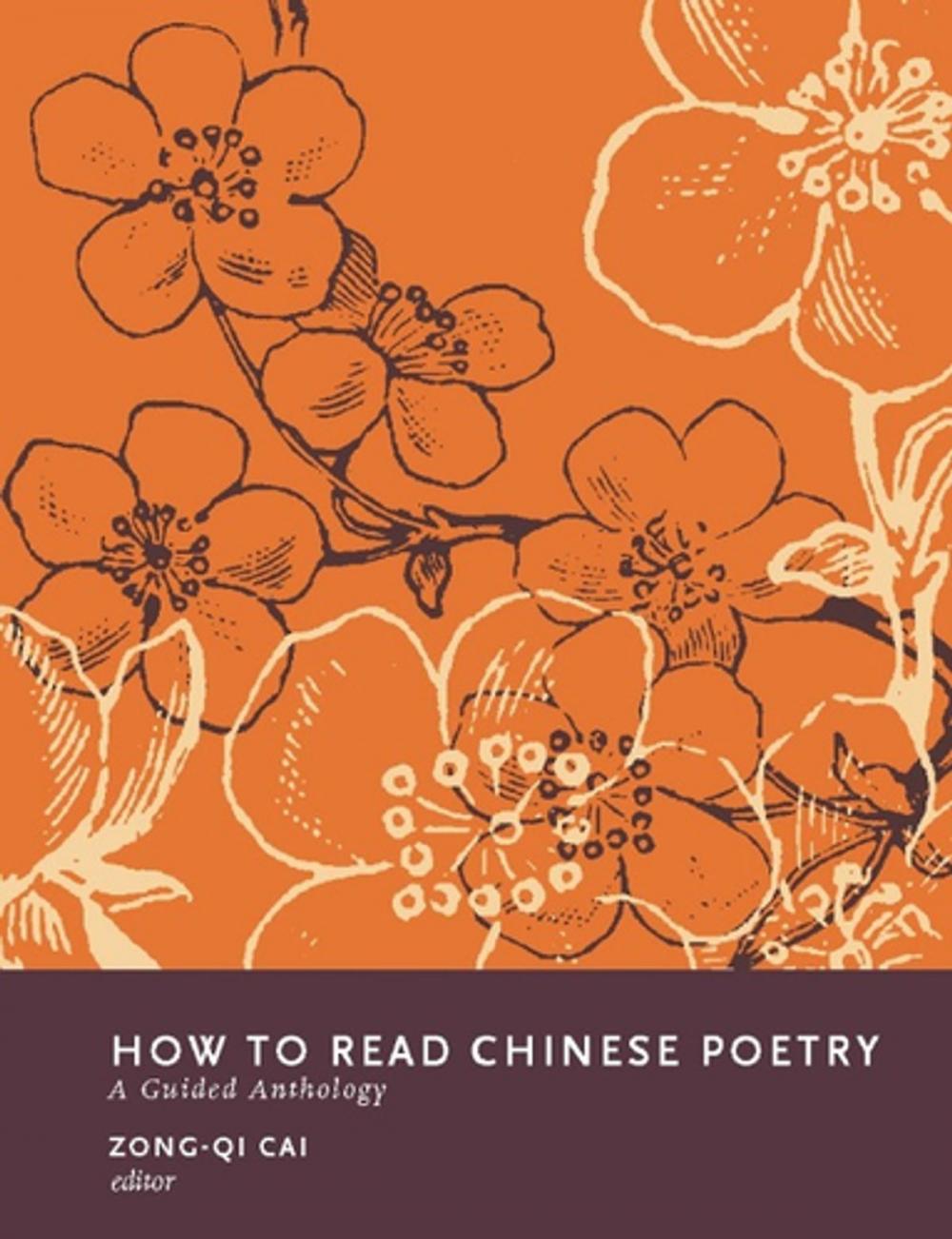 Big bigCover of How to Read Chinese Poetry