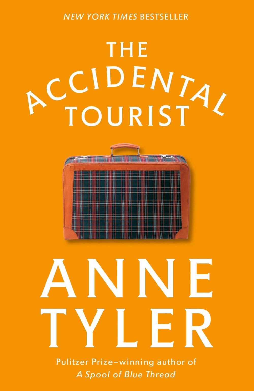 Big bigCover of The Accidental Tourist