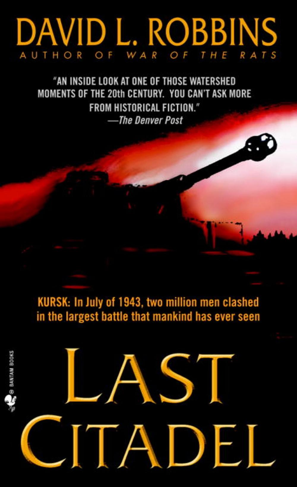 Big bigCover of Last Citadel