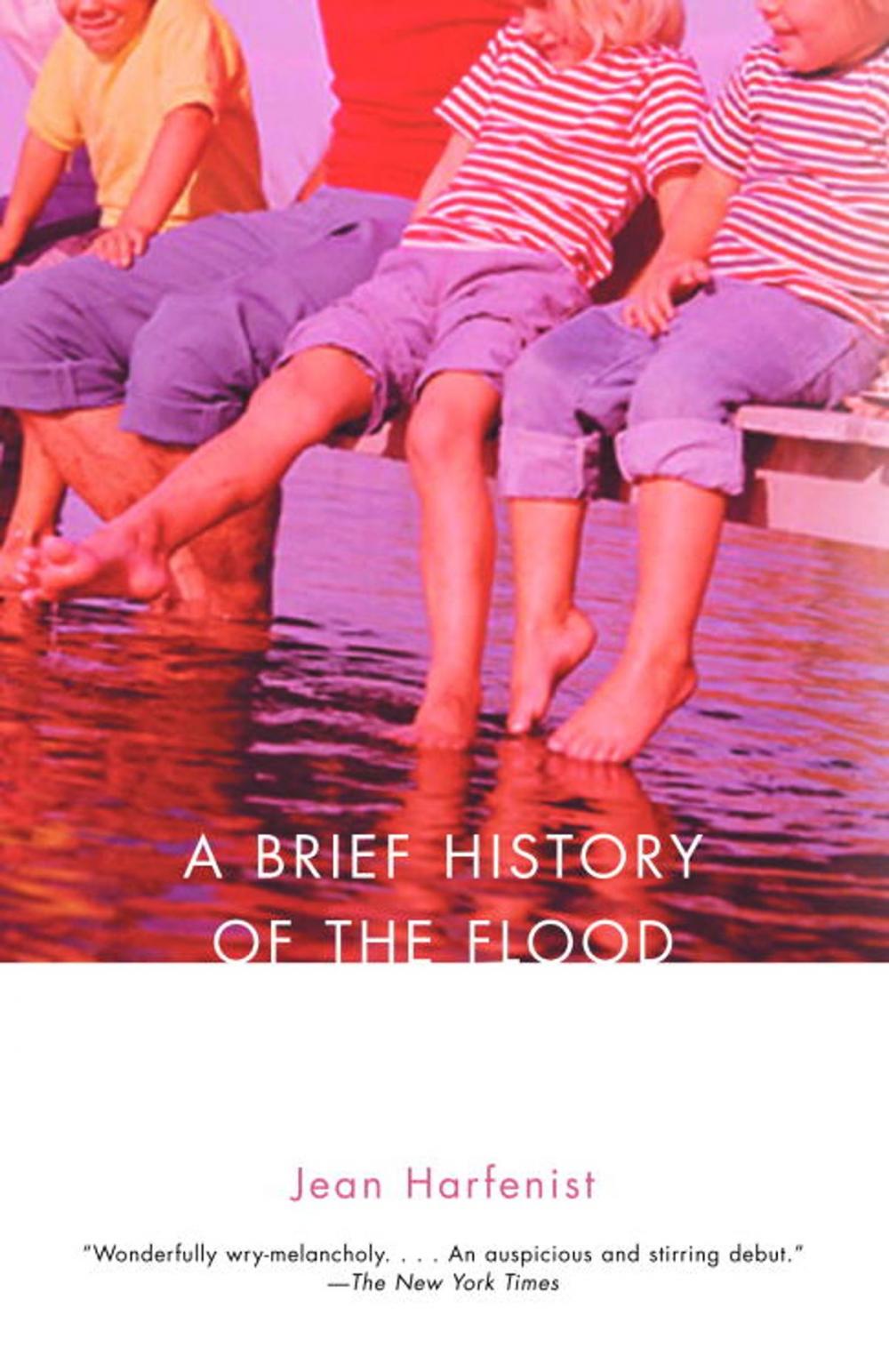 Big bigCover of A Brief History of the Flood