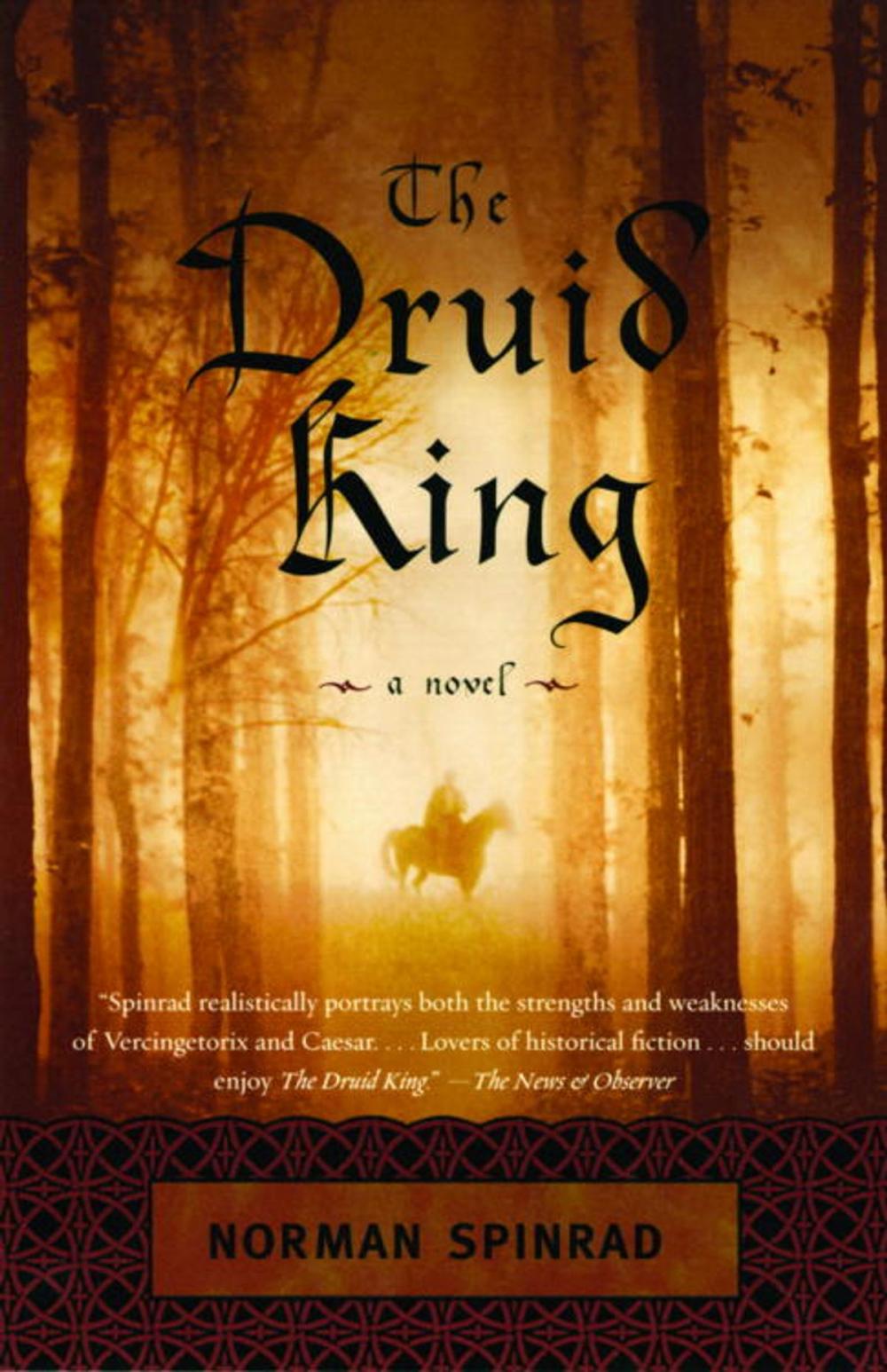 Big bigCover of The Druid King