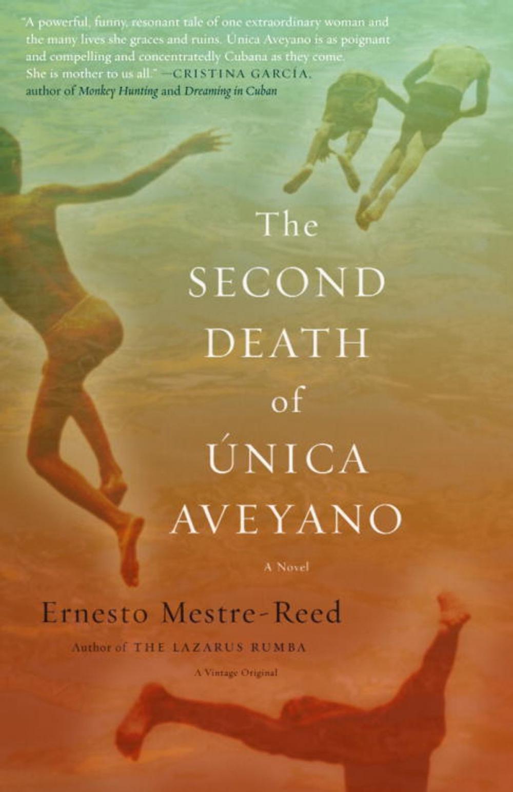 Big bigCover of The Second Death of Unica Aveyano