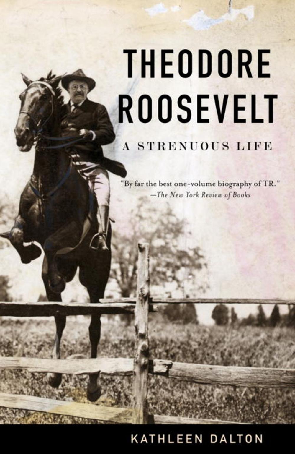 Big bigCover of Theodore Roosevelt