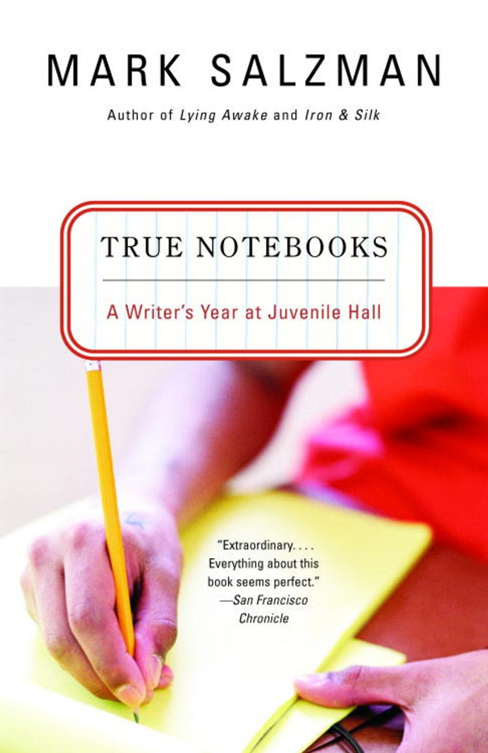 Big bigCover of True Notebooks