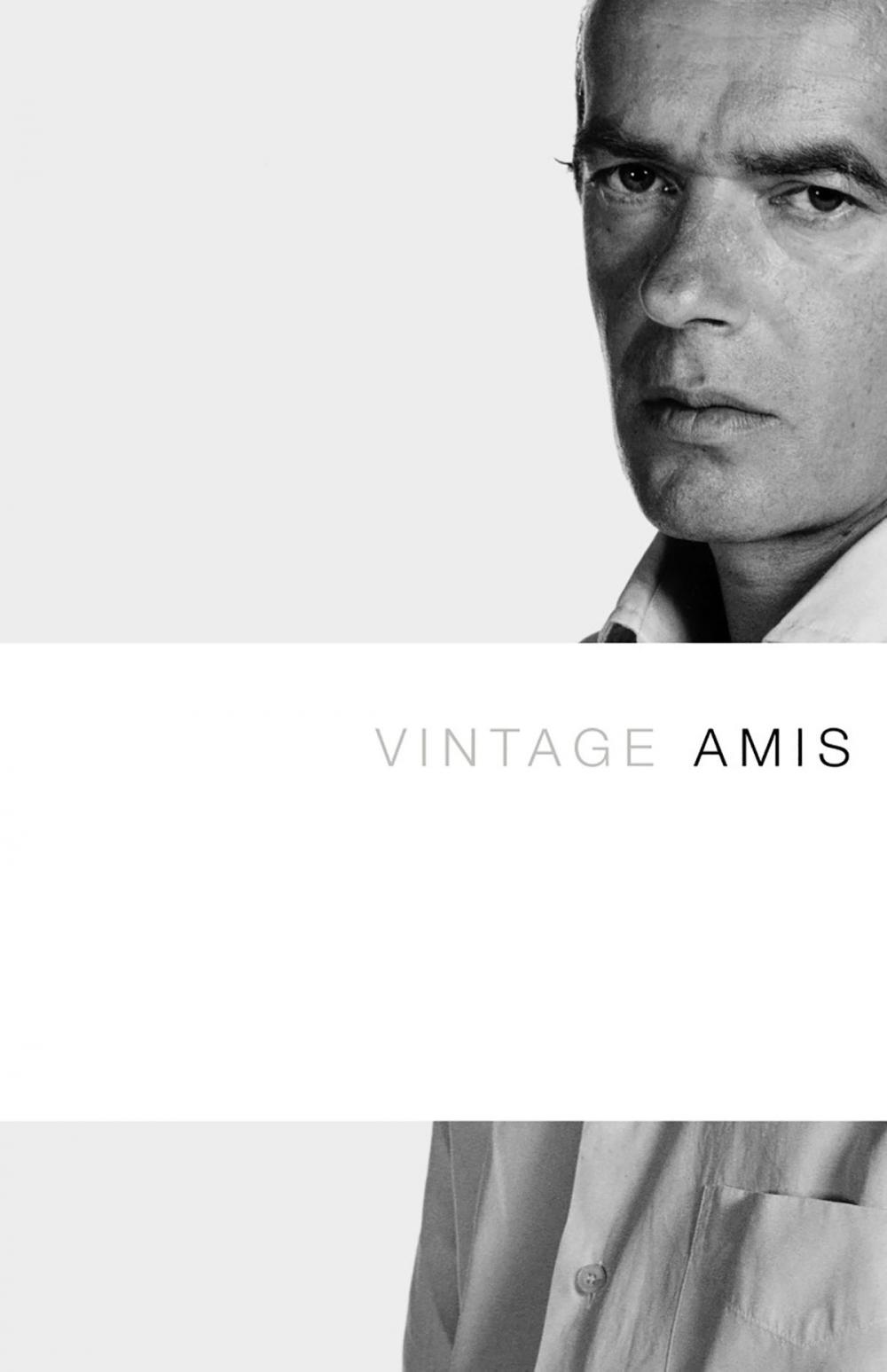 Big bigCover of Vintage Amis