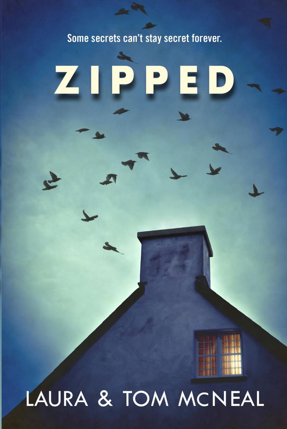 Big bigCover of Zipped