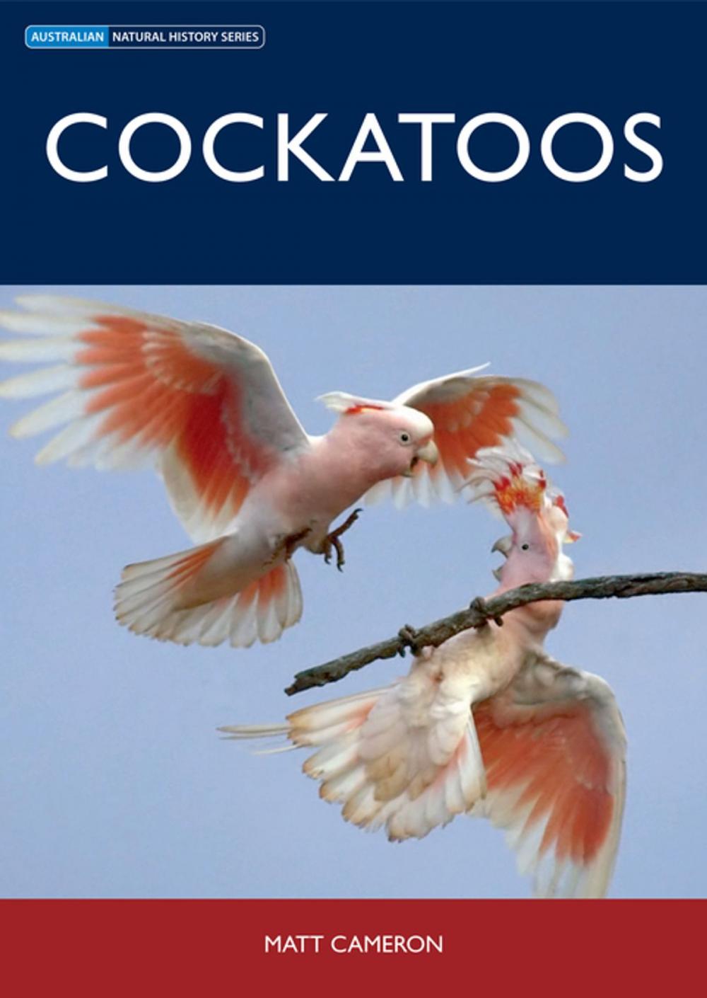 Big bigCover of Cockatoos