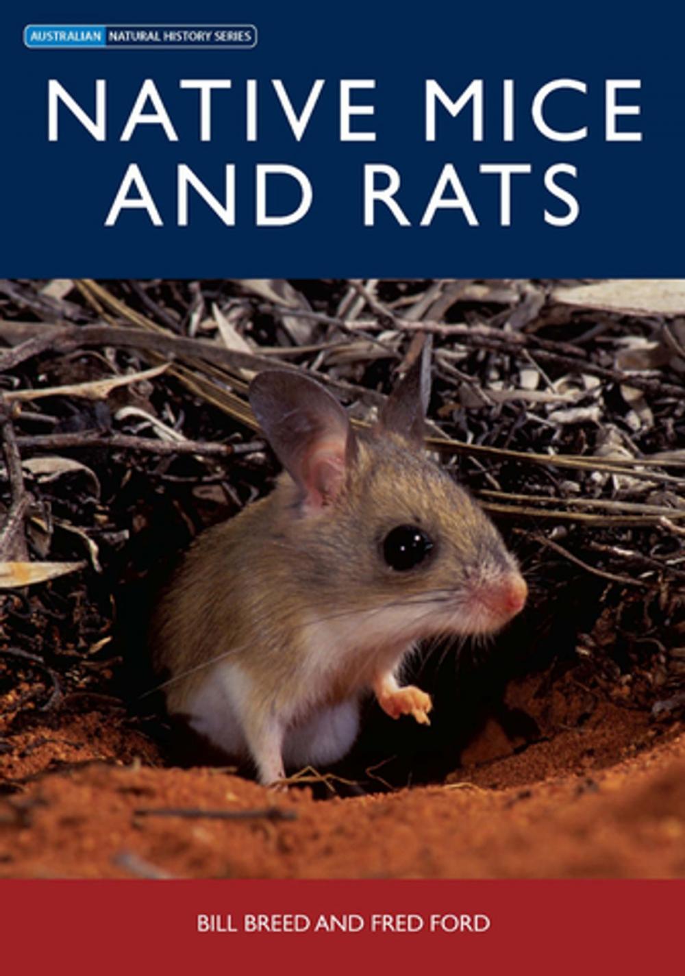 Big bigCover of Native Mice and Rats