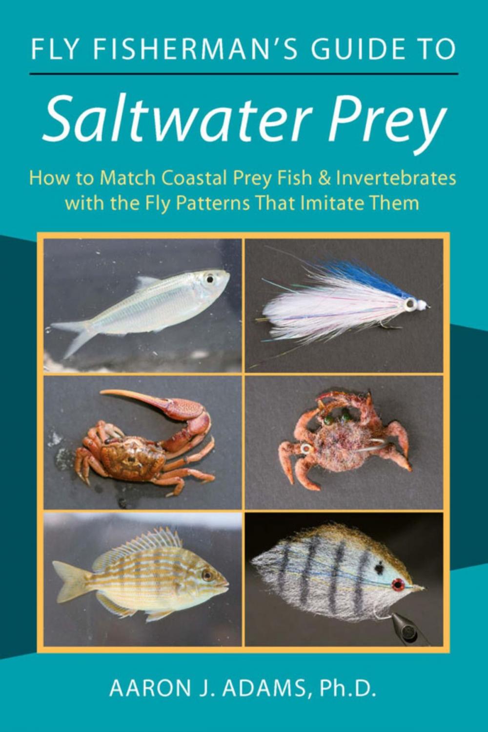 Big bigCover of Fly Fisherman's Guide to Saltwater Prey