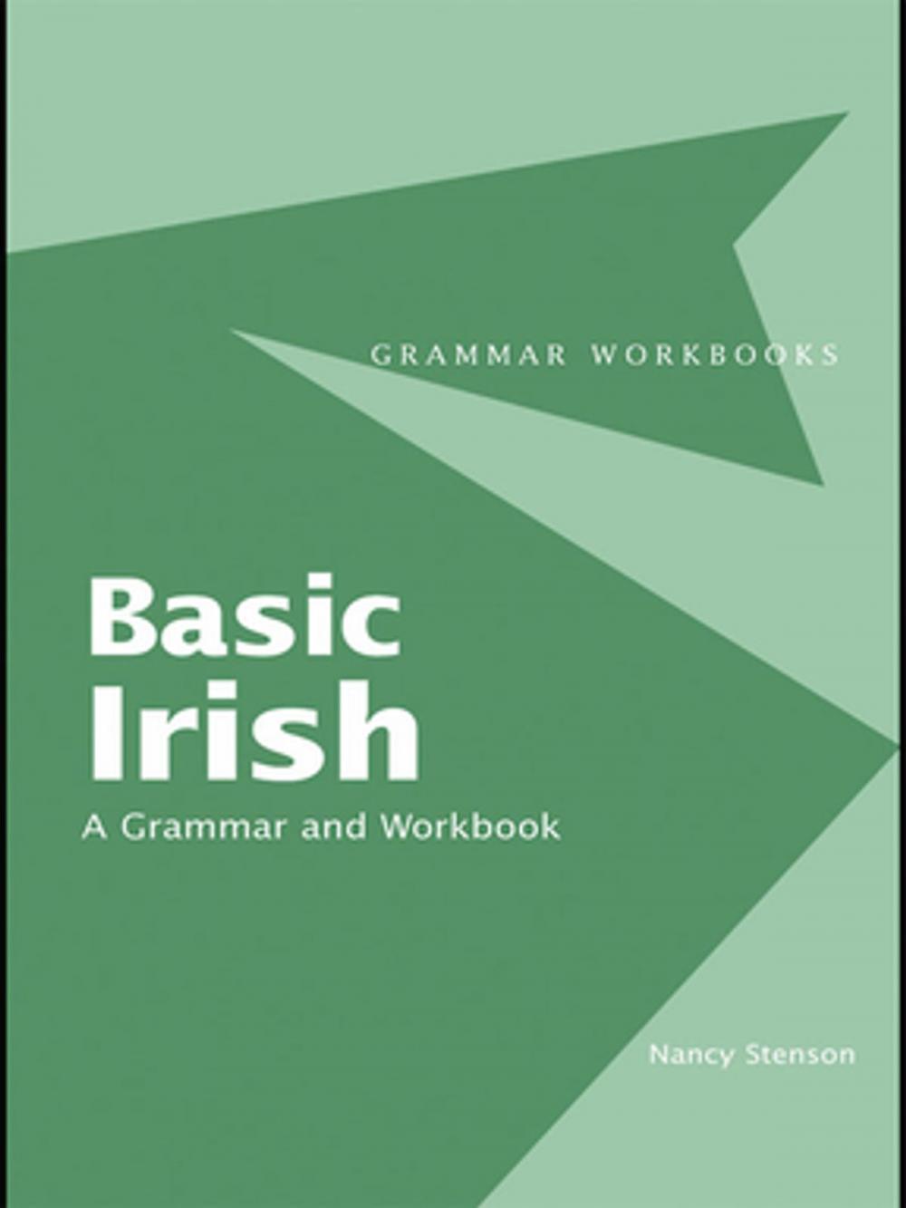 Big bigCover of Basic Irish: A Grammar and Workbook