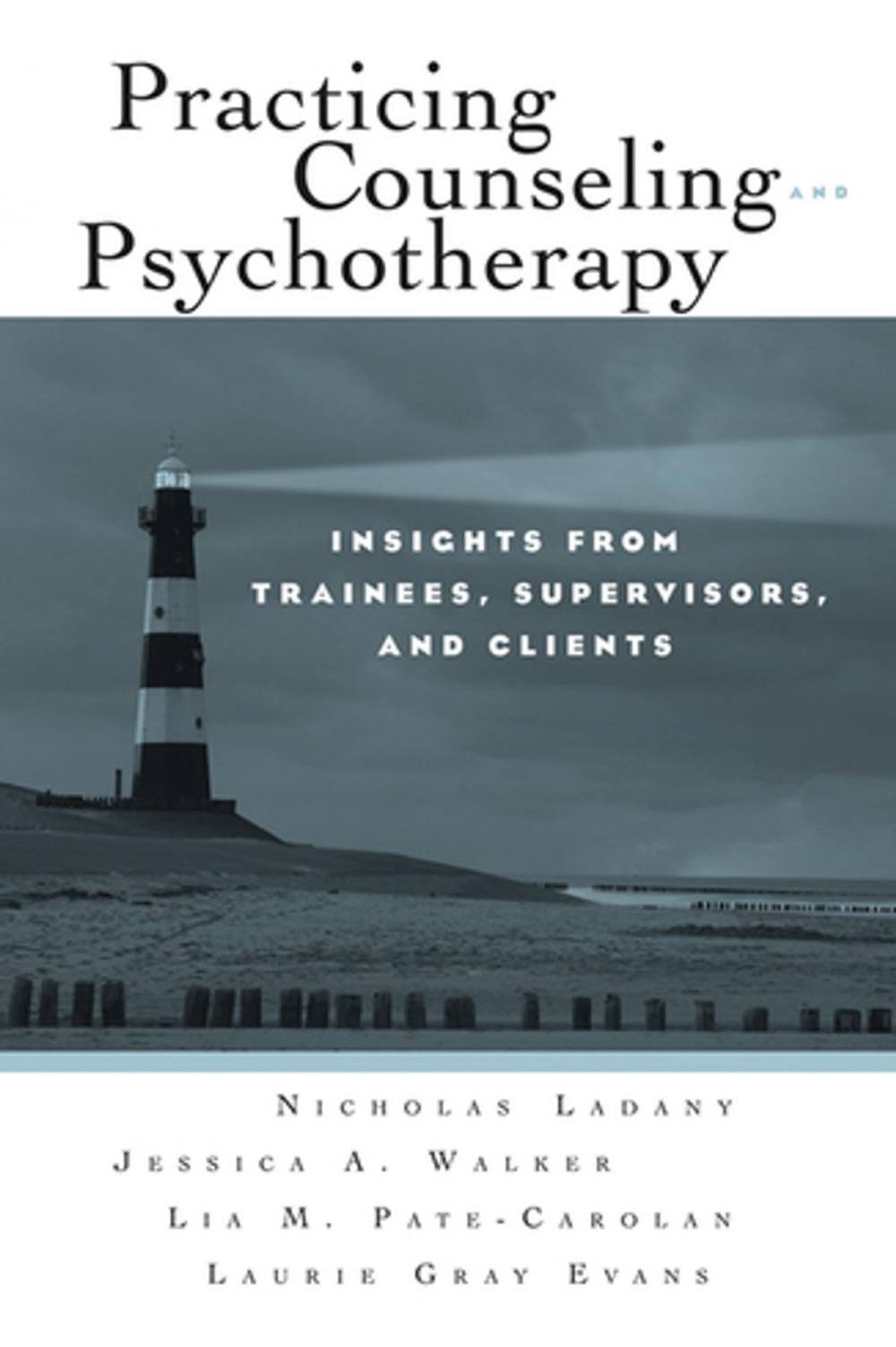 Big bigCover of Practicing Counseling and Psychotherapy