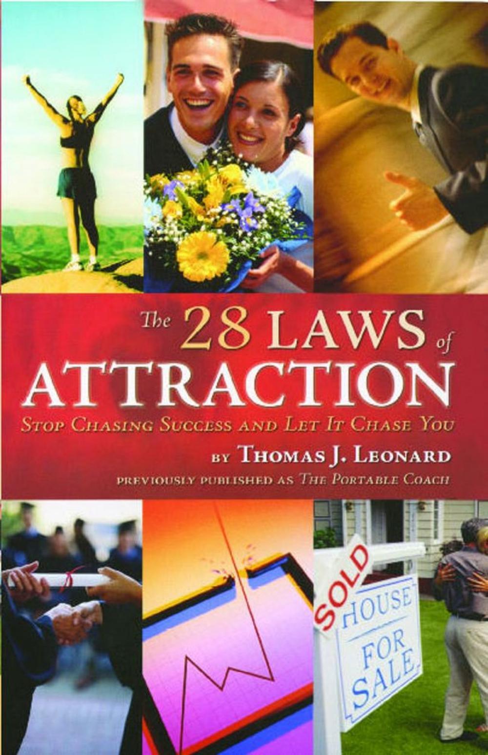 Big bigCover of The 28 Laws of Attraction