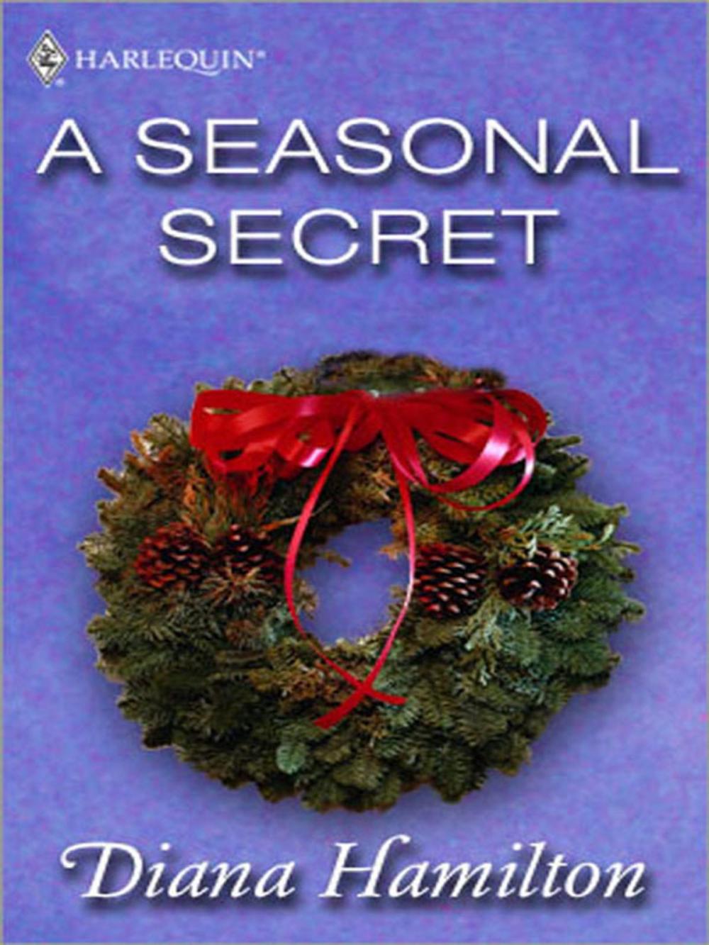 Big bigCover of A Seasonal Secret