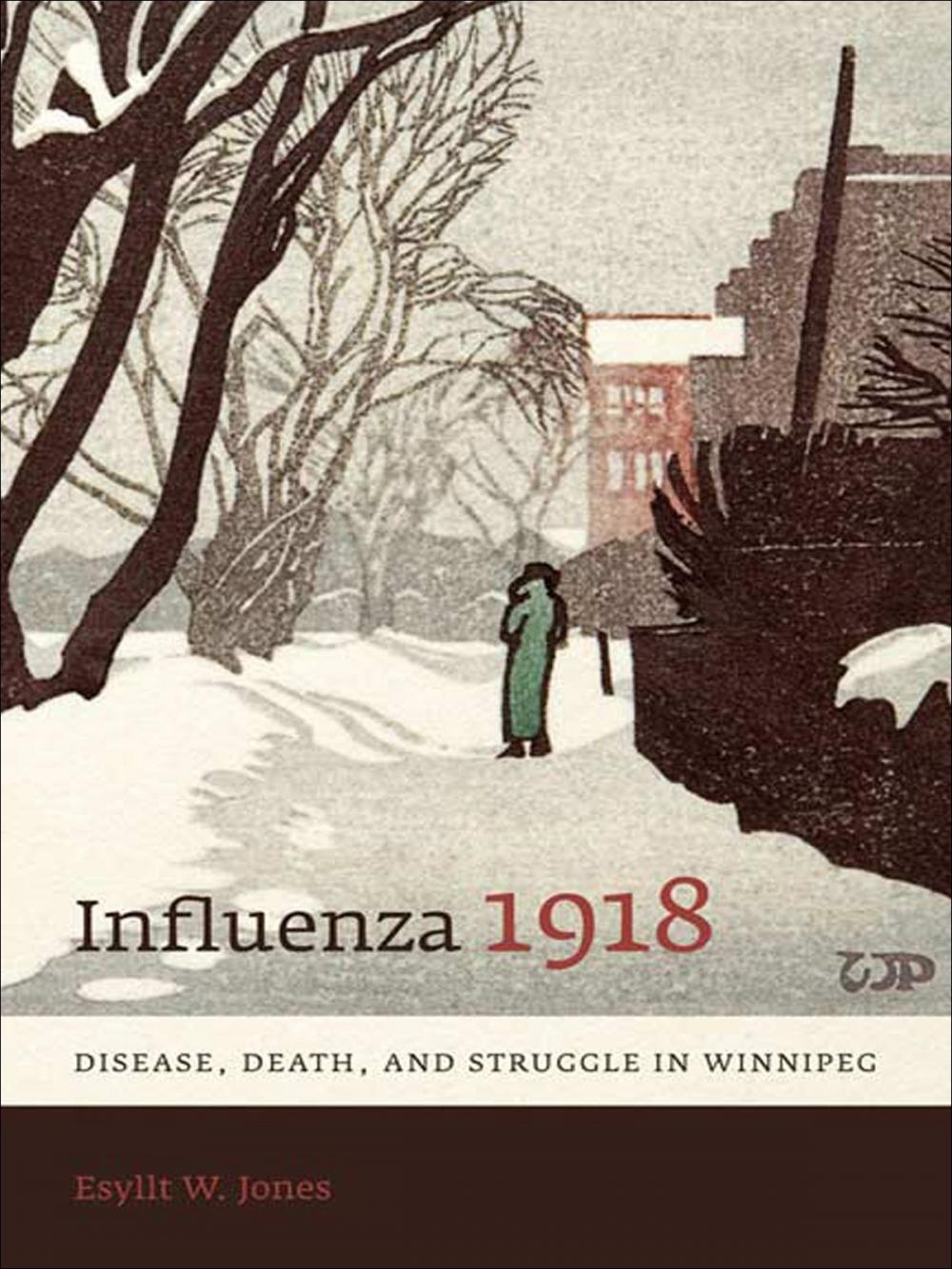 Big bigCover of Influenza 1918