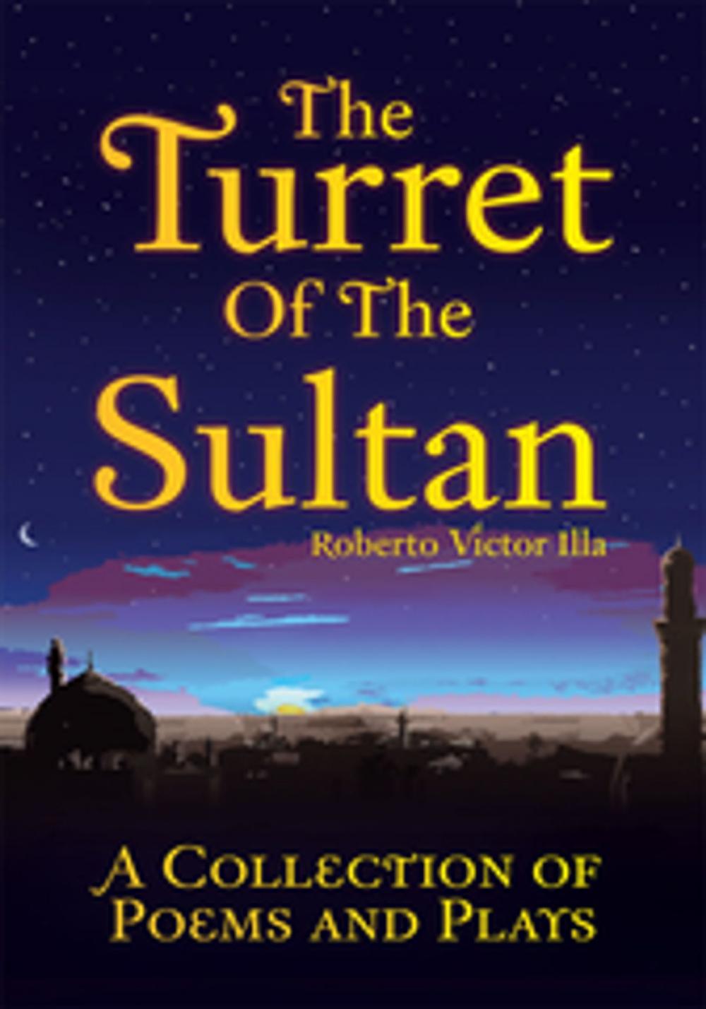 Big bigCover of The Turret of the Sultan