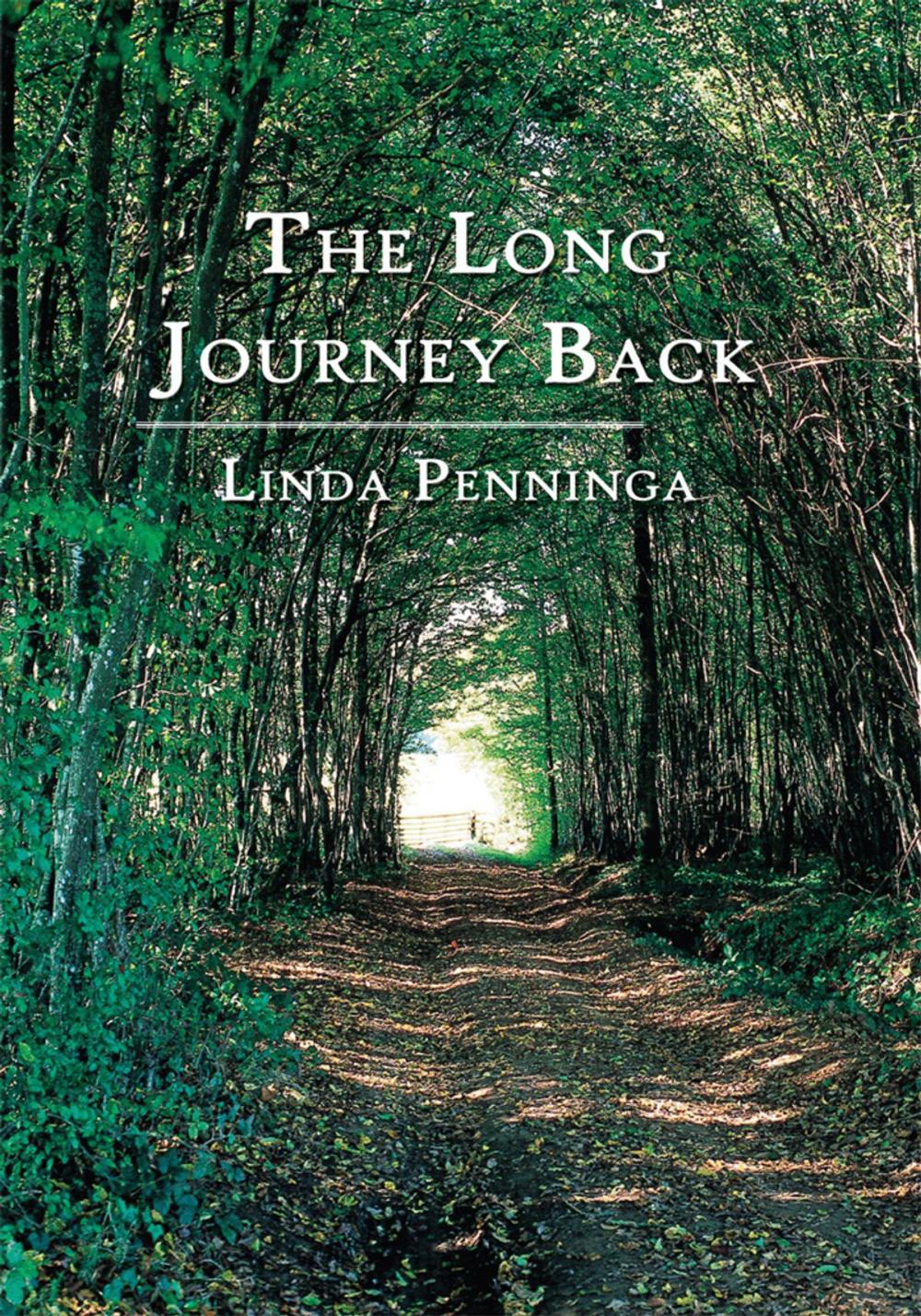 Big bigCover of The Long Journey Back