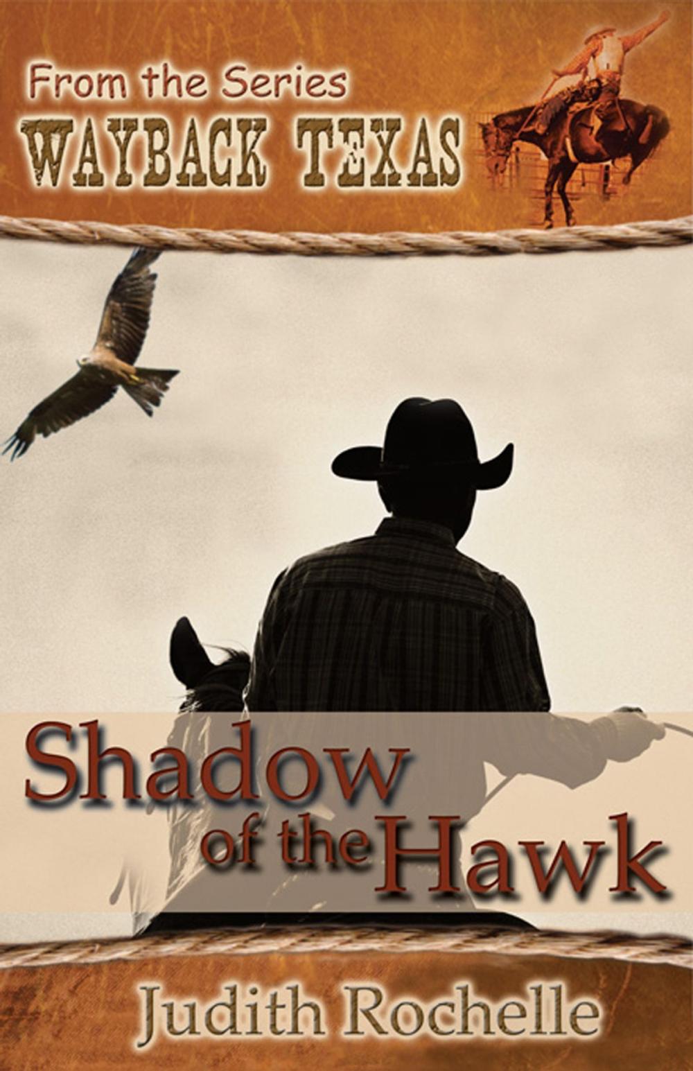 Big bigCover of Shadow of the Hawk