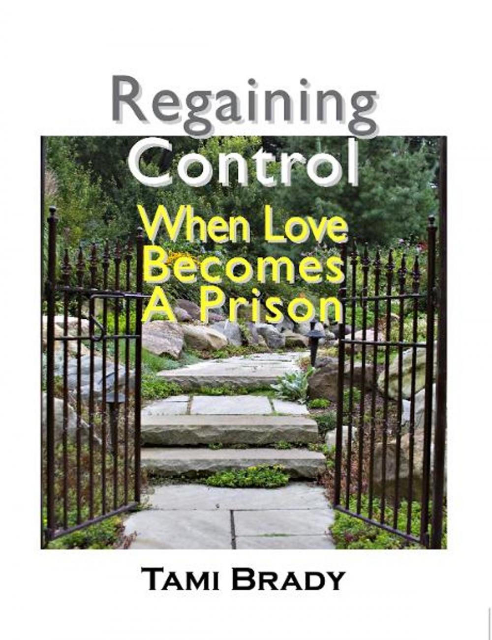 Big bigCover of Regaining Control