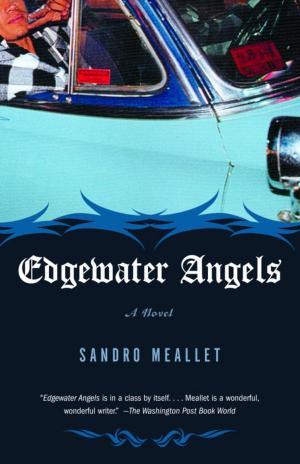 Cover of the book Edgewater Angels by Lee Sandlin