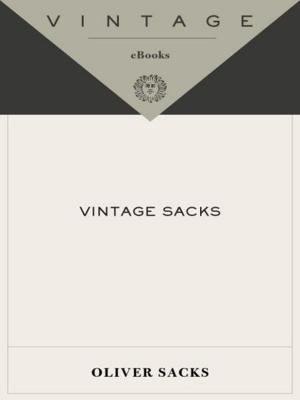 Cover of the book Vintage Sacks by Avi Steinberg