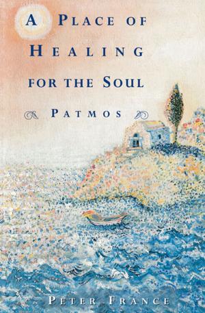 Cover of the book A Place of Healing for the Soul by Robert Goddard