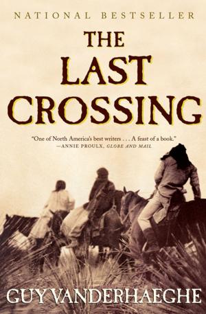 bigCover of the book The Last Crossing by 