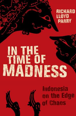 Cover of the book In the Time of Madness by Jon  A. Jackson