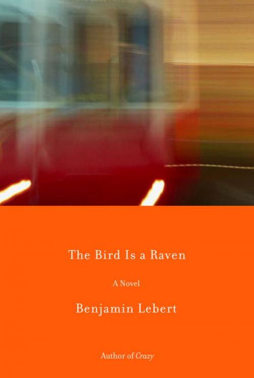 Cover of the book The Bird Is a Raven by Benjamin Lebert, Knopf Doubleday Publishing Group