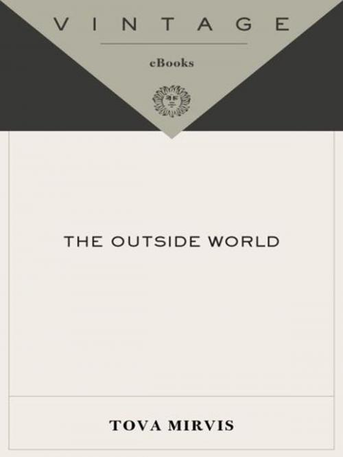 Cover of the book The Outside World by Tova Mirvis, Knopf Doubleday Publishing Group