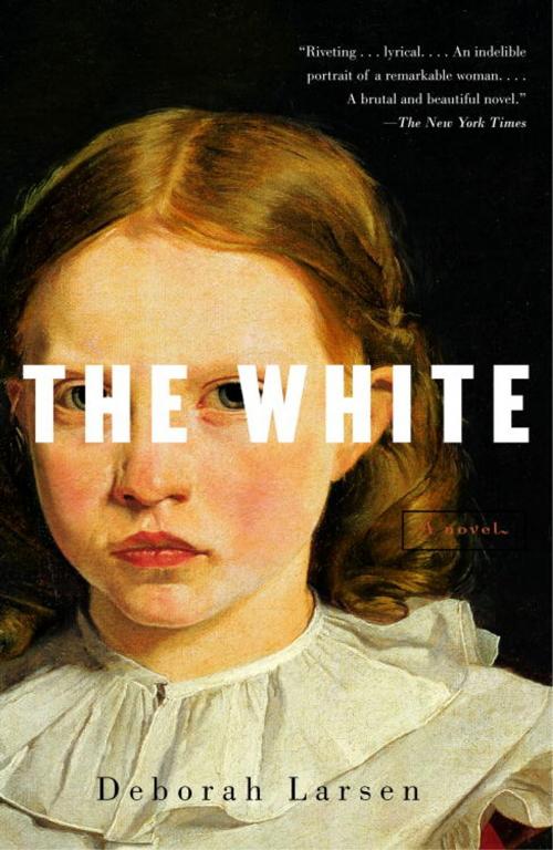 Cover of the book The White by Deborah Larsen, Knopf Doubleday Publishing Group