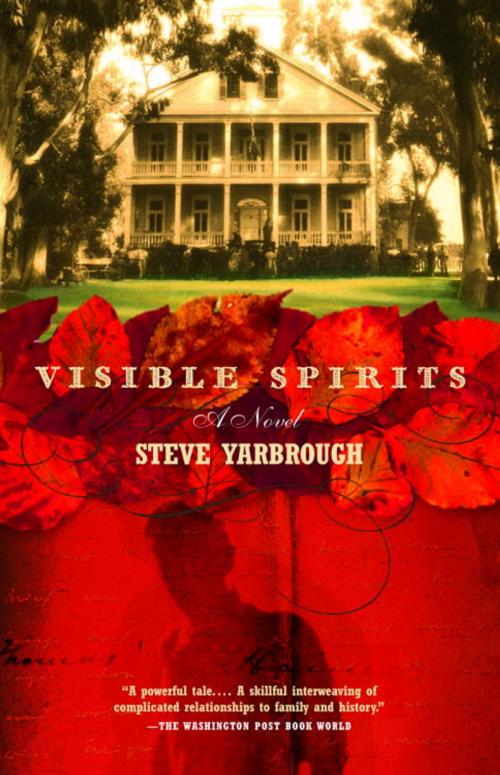 Cover of the book Visible Spirits by Steve Yarbrough, Knopf Doubleday Publishing Group